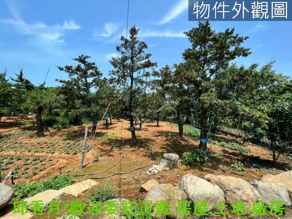 新北石門都市計畫內-13