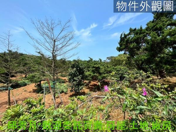 新北石門都市計畫內-14