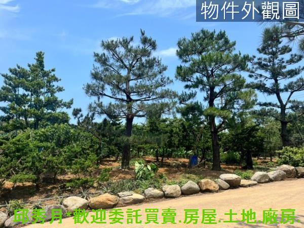 新北石門都市計畫內-5