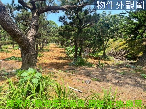 新北石門都市計畫內-7