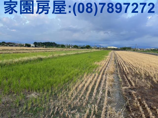 屏東農地-2