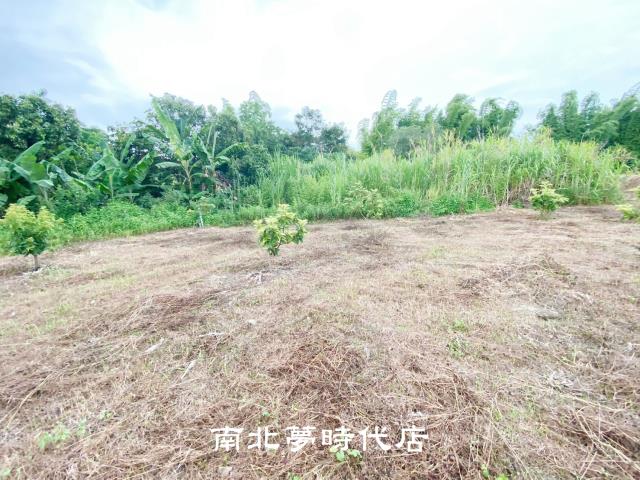 左鎮農地-10
