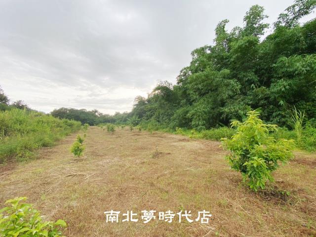 左鎮農地-11