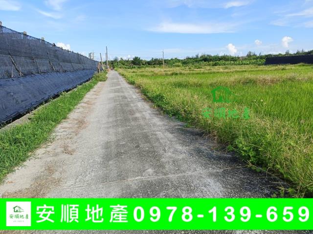 台東市農地-3