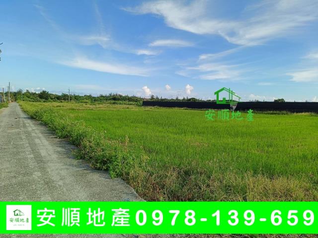 台東市農地-4