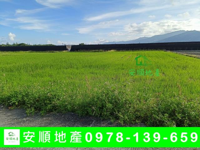 台東市農地-5