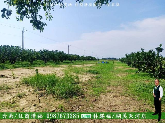 台南佳里農地-4