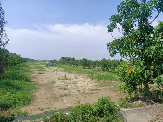 佳里農地-3