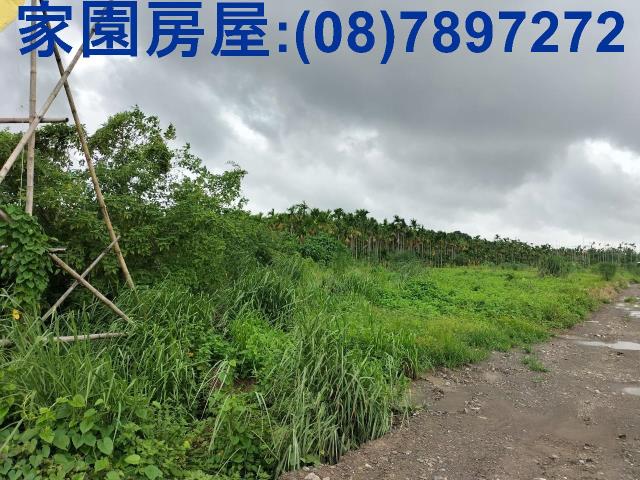 屏東屏東市農地-2