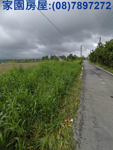 屏東潮州農地-2