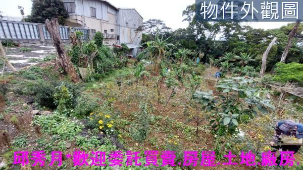 淡水農地-3
