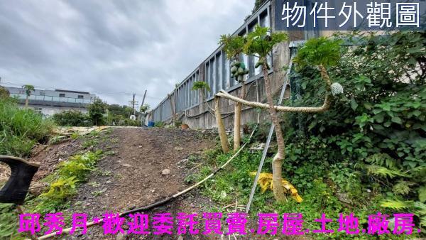淡水農地-4