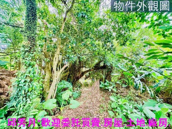 新北三芝特定農業區-6