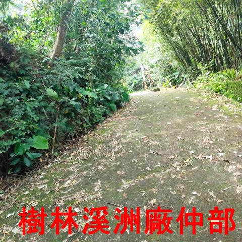 新北林地-9