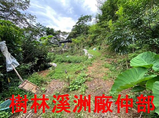 新北林地-1