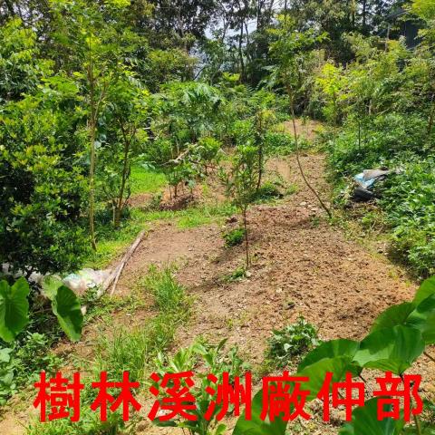 新北林地-5