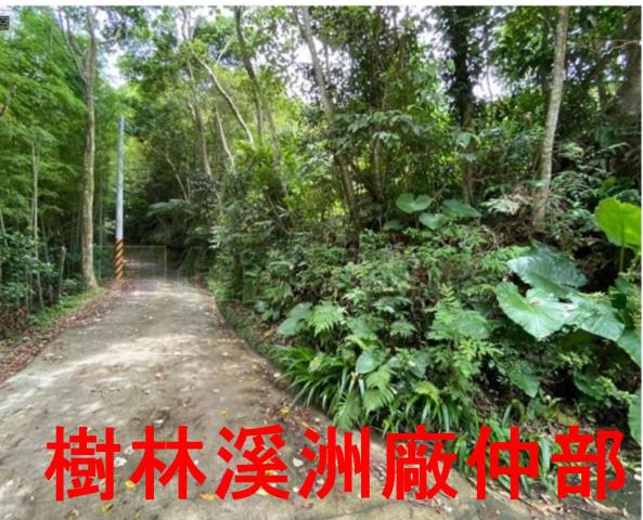 新北林地-6