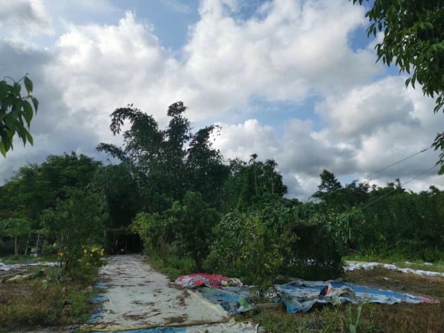 宜蘭員山農地-2