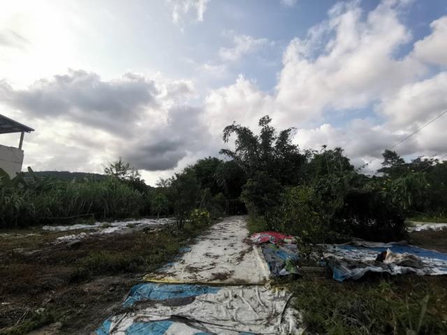 宜蘭員山農地-6