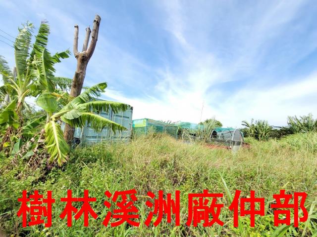 新北石門農地-9