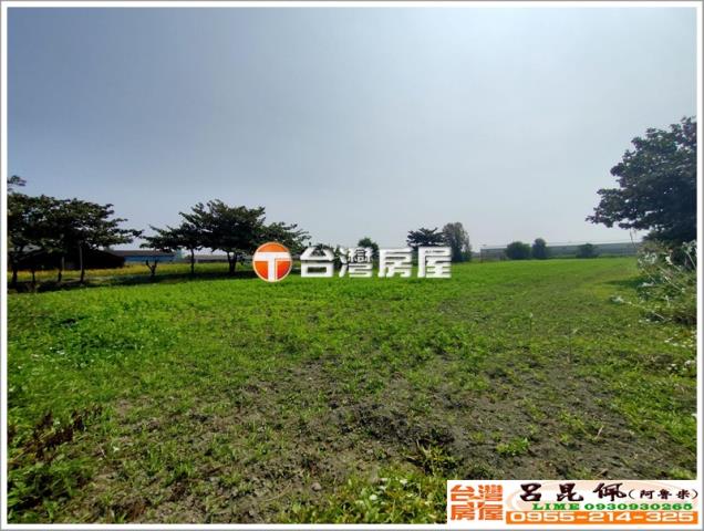 口湖農地-4