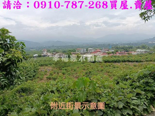 台南玉井農地-11