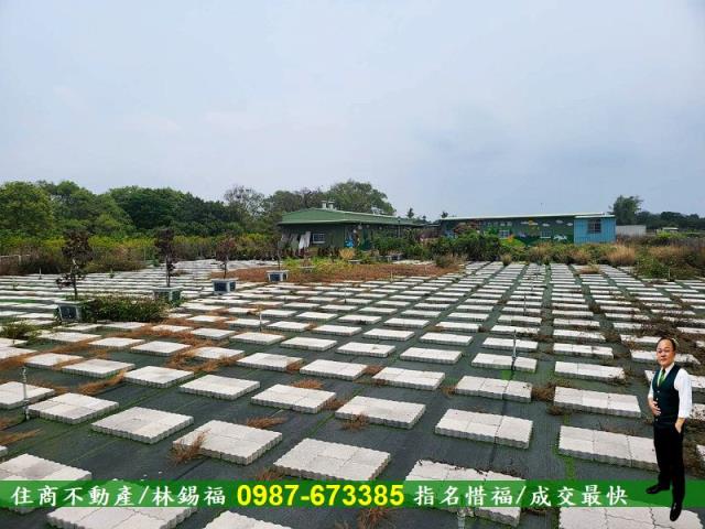 仁德農地-10