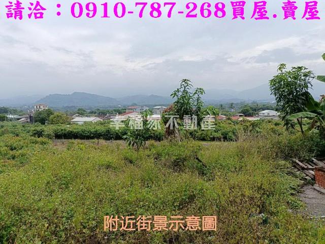 台南玉井農地-1