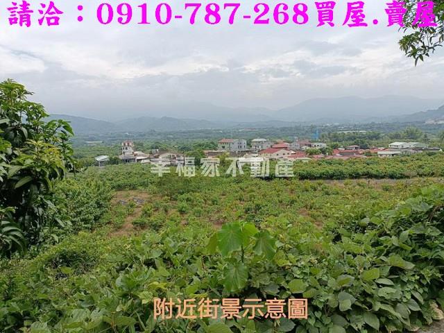 台南玉井農地-2