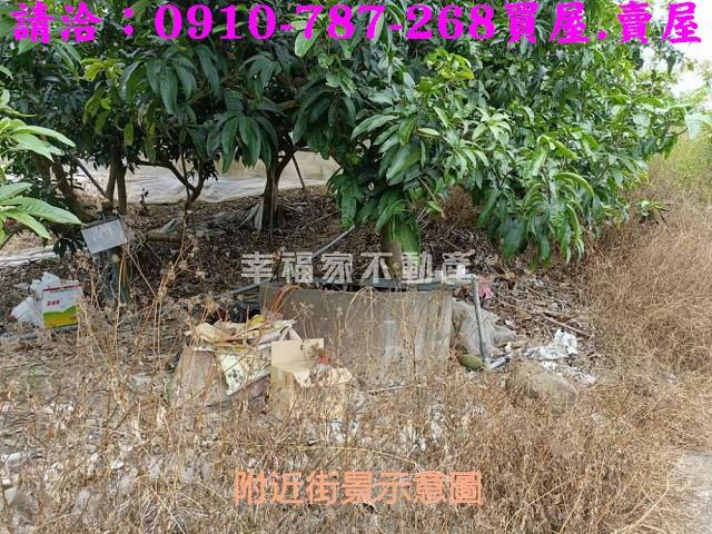 台南玉井農地-6