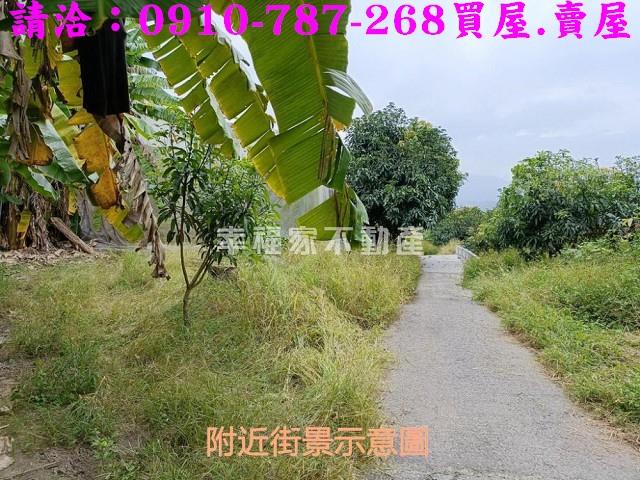 台南玉井農地-7