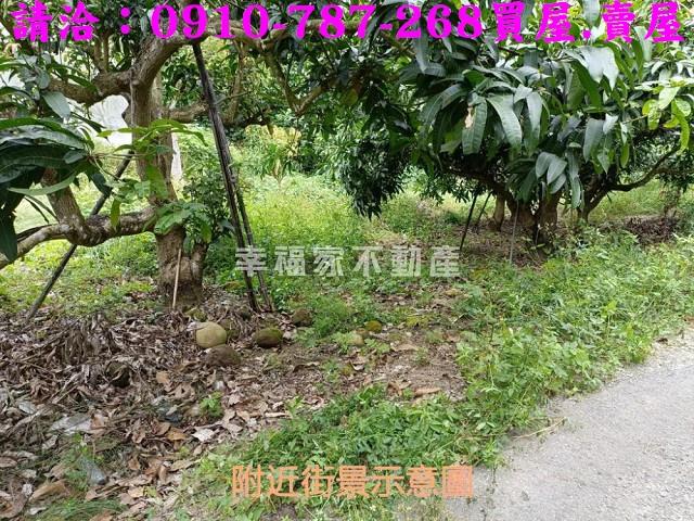 台南玉井農地-8