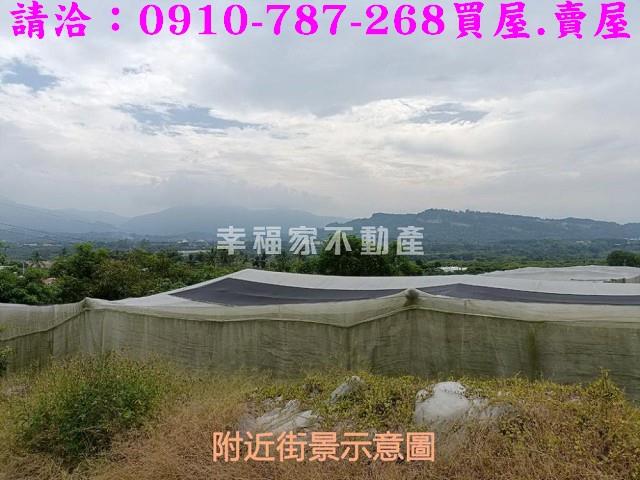 台南玉井農地-9