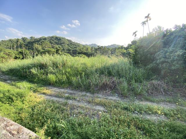 名間農地-4