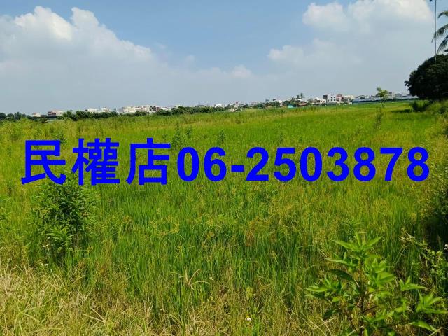 柳營農地-4