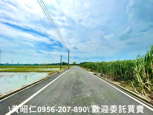 台南新化農地-2