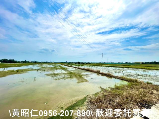 台南新化農地-5