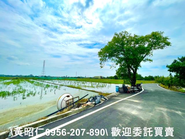 台南新化農地-6