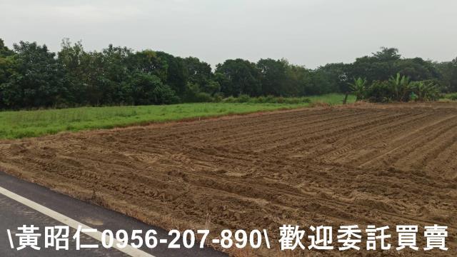 台南新市農地-10