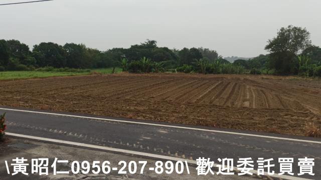台南新市農地-11
