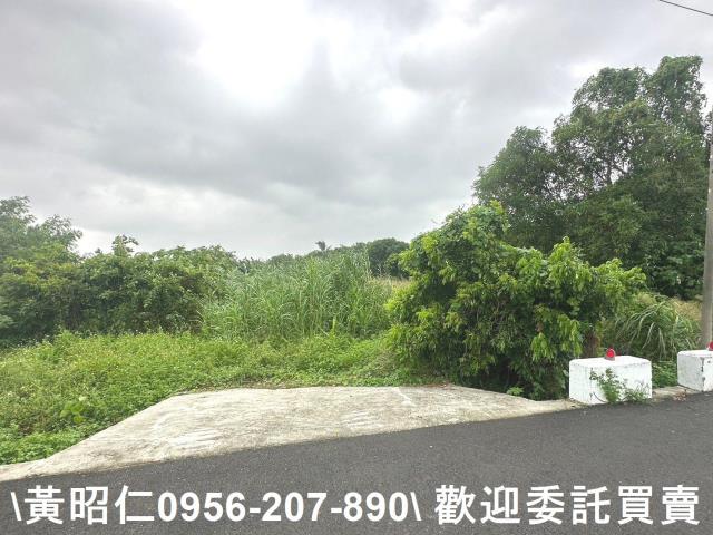台南新市農地-6