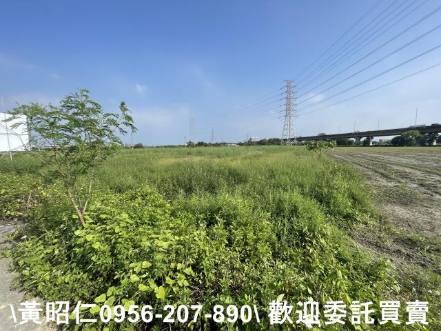 台南新市農地-1