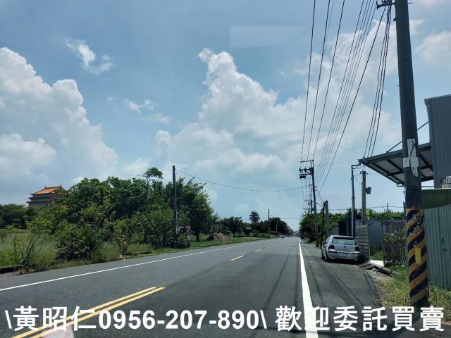 安南農地-6