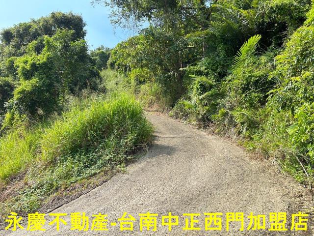 東山農地-6