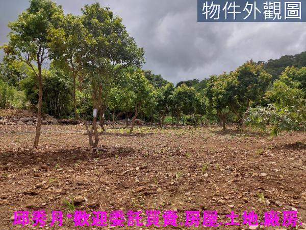 新北三芝農地-7