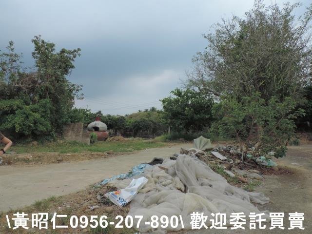 台南農地-11
