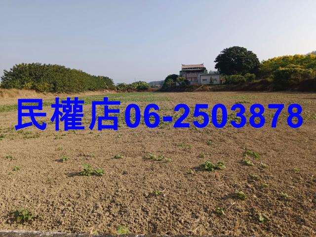 台南六甲農地-9