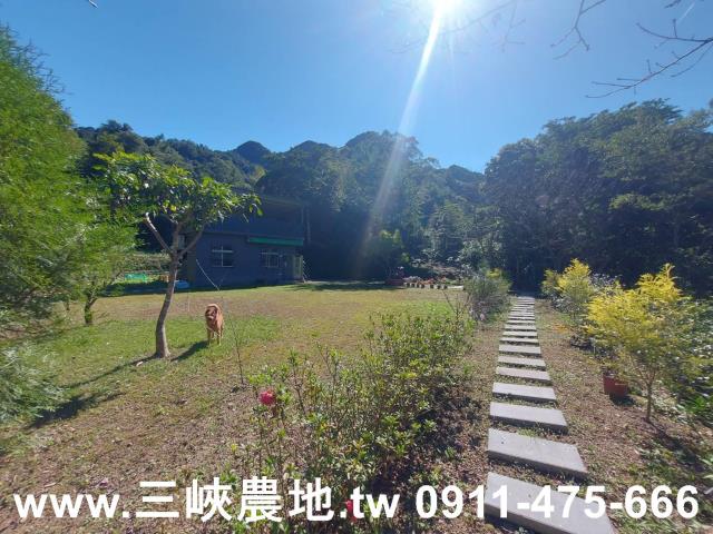 新北農地-12