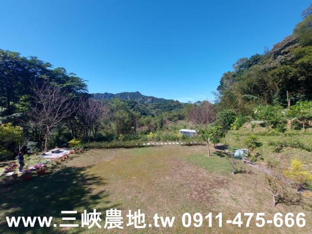 新北農地-4