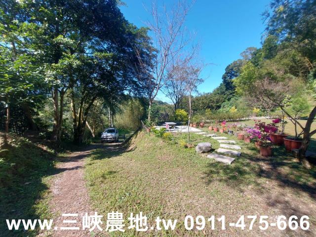 新北農地-8